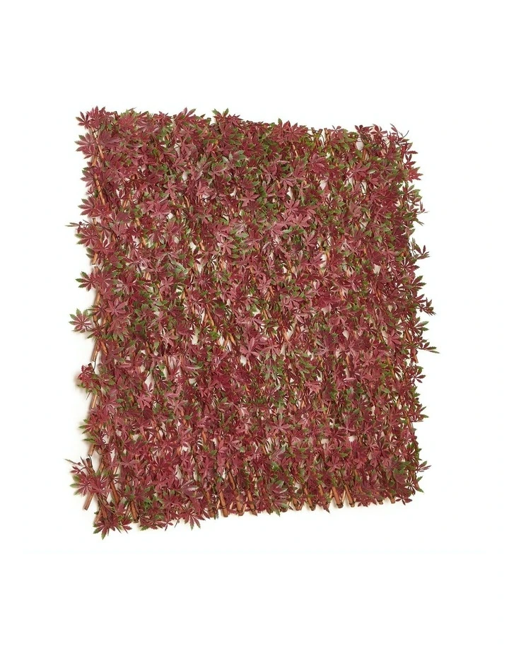 New βοΈ Cooper & Co Artificial Maple Expandable Trellis 200cm 𧨠1 New βοΈ Cooper & Co Artificial Maple Expandable Trellis 200cm π§¨