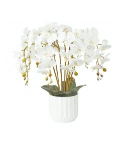 Best reviews of 😍 Cooper & Co Large White Orchid Potted Faux Plant 55cm ✨
