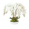 Flash Sale 💯 Cooper & Co Large White Orchid Potted Faux Plant 60cm 🎉