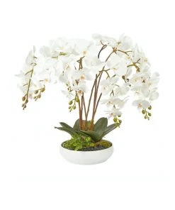 Flash Sale 💯 Cooper & Co Large White Orchid Potted Faux Plant 60cm 🎉