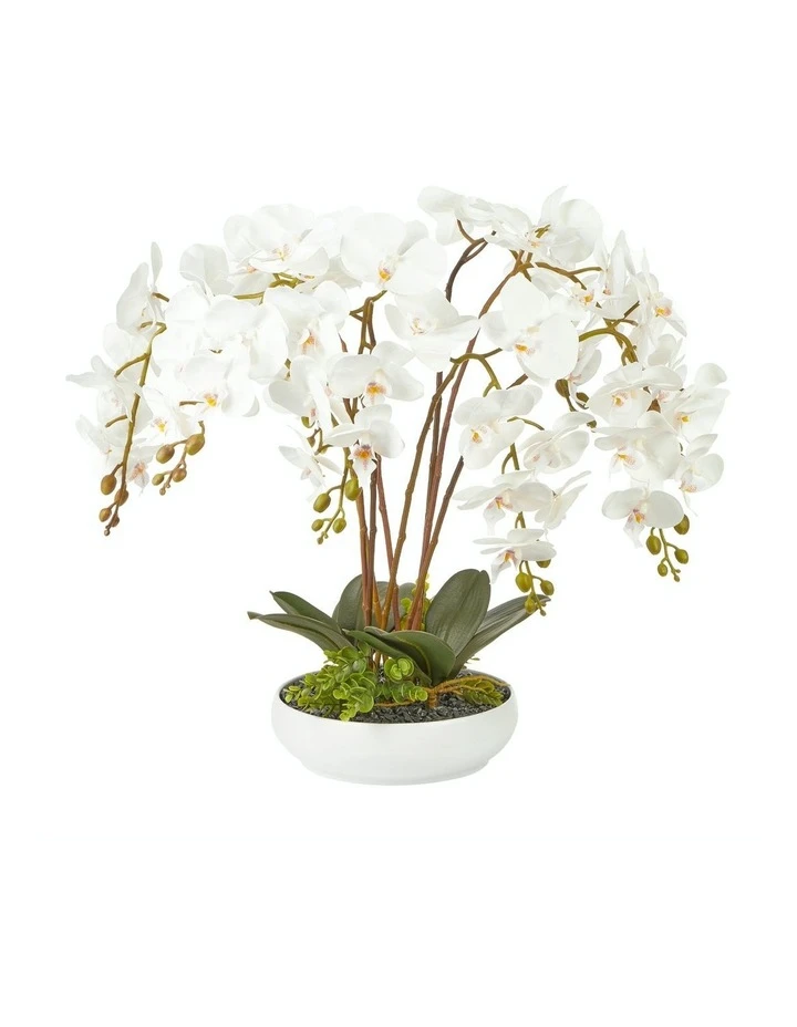 Flash Sale π― Cooper & Co Large White Orchid Potted Faux Plant 60cm π 1 Flash Sale π― Cooper & Co Large White Orchid Potted Faux Plant 60cm π