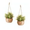 Deals ✔️ Cooper & Co Artificial Faux Plant in Hanging Basket Set of 2 41cm 🎉