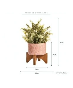 Wholesale 🌟 Cooper & Co Artificial Succulent In Ceramic Pot 35cm ❤️ -Deals Home Décor Store 865668070 3 720x928