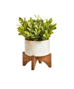 Best Pirce ✨ Cooper & Co Artificial Greenery In Ceramic Pot 30cm 🌟