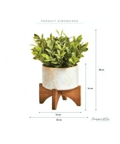 Best Pirce ✨ Cooper & Co Artificial Greenery In Ceramic Pot 30cm 🌟 -Deals Home Décor Store 865668160 3 720x928