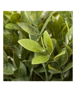 Best Pirce ✨ Cooper & Co Artificial Greenery In Ceramic Pot 30cm 🌟 -Deals Home Décor Store 865668160 4 720x928