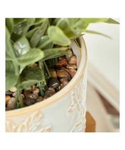 Best Pirce ✨ Cooper & Co Artificial Greenery In Ceramic Pot 30cm 🌟 -Deals Home Décor Store 865668160 5 720x928