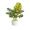 Discount 👍 Cooper & Co Artificial Monstera Plant In Ceramic Pot 42cm ✨