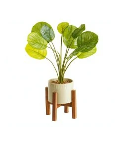 Coupon 🧨 Cooper & Co Artificial Taro Plant In Ceramic Pot 75cm ⌛