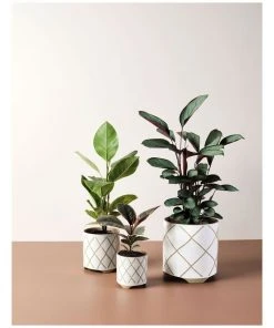 Coupon 👍 Linen House Estrada Planter Pot 16cm In White 😉 -Deals Home Décor Store 869257810 3 720x928