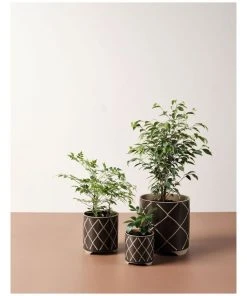 Cheap π Linen House Estrada Planter Pot 16cm In Coffee β 5 Cheap π Linen House Estrada Planter Pot 16cm In Coffee β -Deals Home DΓ©cor Store 869257900 3 720x928