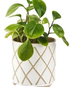 Discount ✔️ Linen House Estrada Planter Pot 12cm In White ✔️ -Deals Home Décor Store 869258080 2 720x928