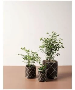Best reviews of ⭐ Linen House Estrada Planter Pot 12cm In Coffee ✨ -Deals Home Décor Store 869258170 3 720x928