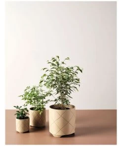 Hot Sale 🥰 Linen House Estrada Planter Pot 12cm In Caramel 🌟 -Deals Home Décor Store 869258260 3 720x928