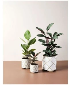 Outlet ⌛ Linen House Estrada Planter Pot 24cm In White ❤️ -Deals Home Décor Store 869258350 3 720x928