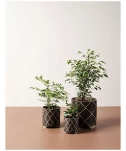 Best deal π Linen House Estrada Planter Pot 24cm In Coffee βοΈ 5 Best deal π Linen House Estrada Planter Pot 24cm In Coffee βοΈ -Deals Home DΓ©cor Store 869258440 3 720x928