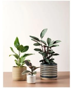 Flash Sale ✨ Linen House Dawn Planter Pot 20cm In Mustard ⌛ 5 Flash Sale ✨ Linen House Dawn Planter Pot 20cm In Mustard ⌛ -Deals Home Décor Store 869258710 3 720x928