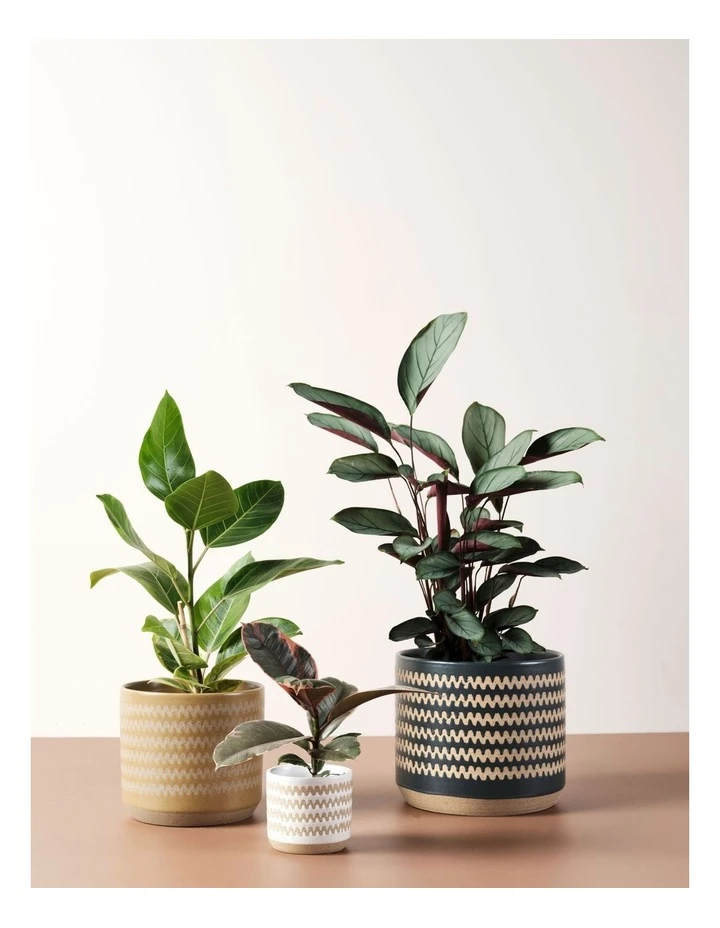 Flash Sale ✨ Linen House Dawn Planter Pot 20cm In Mustard ⌛ 3 Flash Sale ✨ Linen House Dawn Planter Pot 20cm In Mustard ⌛ - Image 3