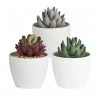 Best reviews of ❤️ Cooper & Co Set of 3 Trinity Artificial Gardens White ❤️