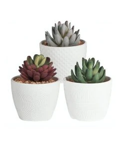 Best reviews of ❤️ Cooper & Co Set of 3 Trinity Artificial Gardens White ❤️