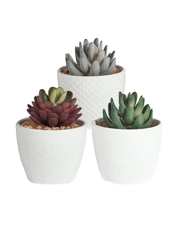 Best reviews of ❤️ Cooper & Co Set of 3 Trinity Artificial Gardens White ❤️ 1 Best reviews of ❤️ Cooper & Co Set of 3 Trinity Artificial Gardens White ❤️