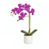 Buy ⌛ Cooper & Co Artificial Orchid 53Cm In Purple 🔥