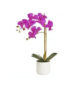 Buy ⌛ Cooper & Co Artificial Orchid 53Cm In Purple 🔥