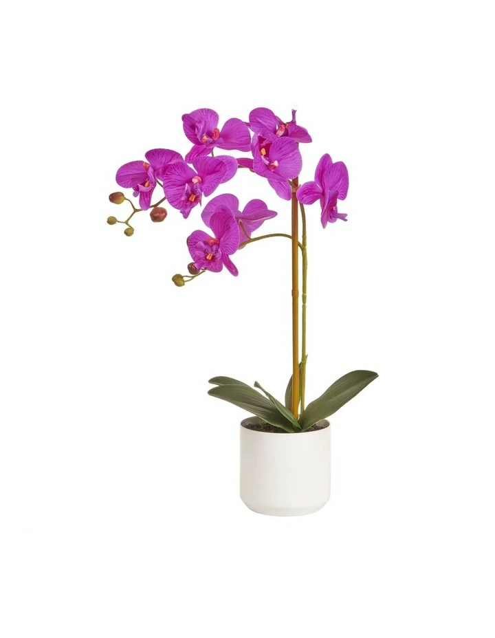 Buy β Cooper & Co Artificial Orchid 53Cm In Purple π₯ 1 Buy β Cooper & Co Artificial Orchid 53Cm In Purple π₯