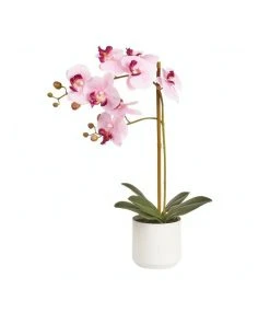 Discount 🔥 Cooper & Co Artificial Orchid 53cm Pink 🔔