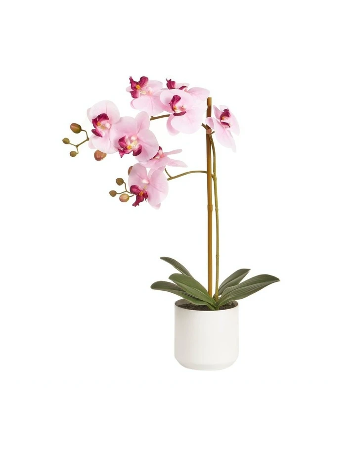 Discount π₯ Cooper & Co Artificial Orchid 53cm Pink π 1 Discount π₯ Cooper & Co Artificial Orchid 53cm Pink π