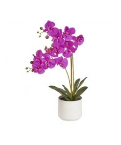 Flash Sale 💯 Cooper & Co Artificial Orchid 61cm Purple 😉
