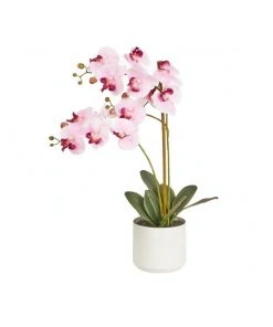 Buy 🤩 Cooper & Co Artificial Orchid 61cm Pink 🌟