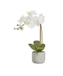 Best Pirce ✨ Cooper & Co Artificial Orchid 45cm White 👏