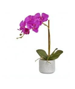 Deals ❤️ Cooper & Co Artificial Orchid 45Cm Purple ✨