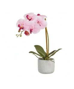 Best reviews of 🌟 Cooper & Co Artificial Orchid 45cm Pink 😀