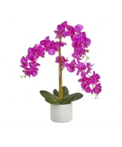 Coupon 👍 Cooper & Co Artificial Orchid 70cm Purple ⌛