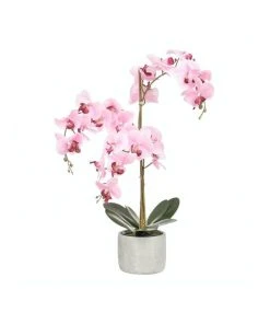Coupon 🛒 Cooper & Co Artificial Orchid 70cm Pink 💯