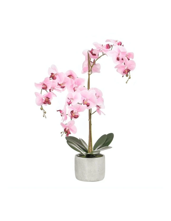 Coupon π Cooper & Co Artificial Orchid 70cm Pink π― 1 Coupon π Cooper & Co Artificial Orchid 70cm Pink π―