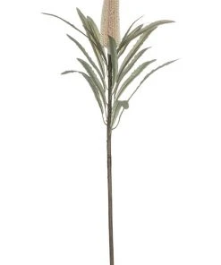 Outlet ❤️ Rogue RB Deco Banksia Thin Stem 63cm In Natural ⌛