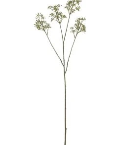 Flash Sale 🔔 Rogue RB Eucy Seed Spray 62cm In Green 🥰