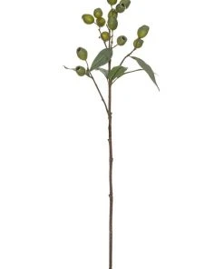 Top 10 π Rogue Gum Nut Spray 67cm In Green β