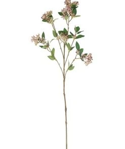 Cheap ❤️ Rogue Seeding Spray 66cm In Pink 🎉