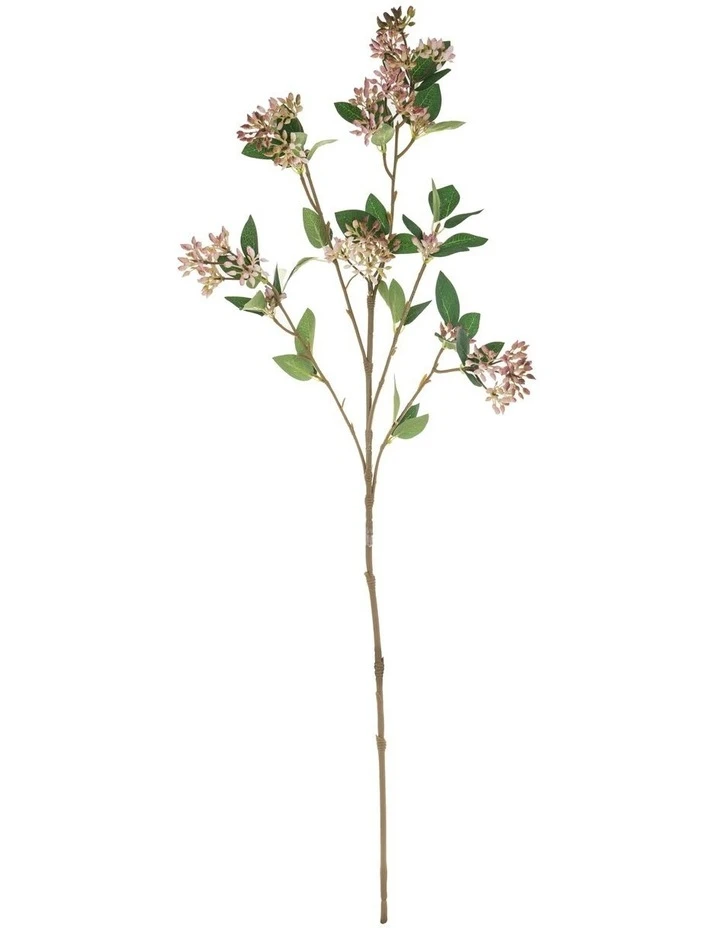 Cheap ❤️ Rogue Seeding Spray 66cm In Pink 🎉 1 Cheap ❤️ Rogue Seeding Spray 66cm In Pink 🎉