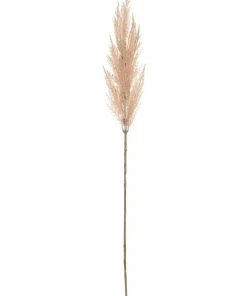 Promo 😉 Rogue Pampas Grass Spray 92cm In Soft Pink ❤️