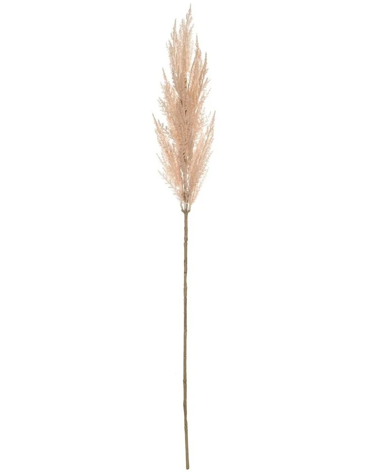 Promo 😉 Rogue Pampas Grass Spray 92cm In Soft Pink ❤️ 1 Promo 😉 Rogue Pampas Grass Spray 92cm In Soft Pink ❤️
