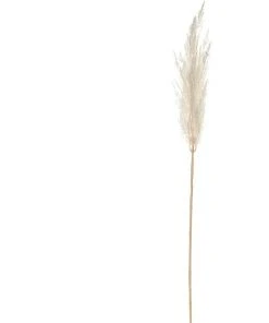 Brand new 🔔 Rogue Pampas Grass Spray 92cm In Off White 🧨