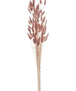 Best Sale π Rogue Preserved BunnyTails 50cm In Dusty Pink β€οΈ