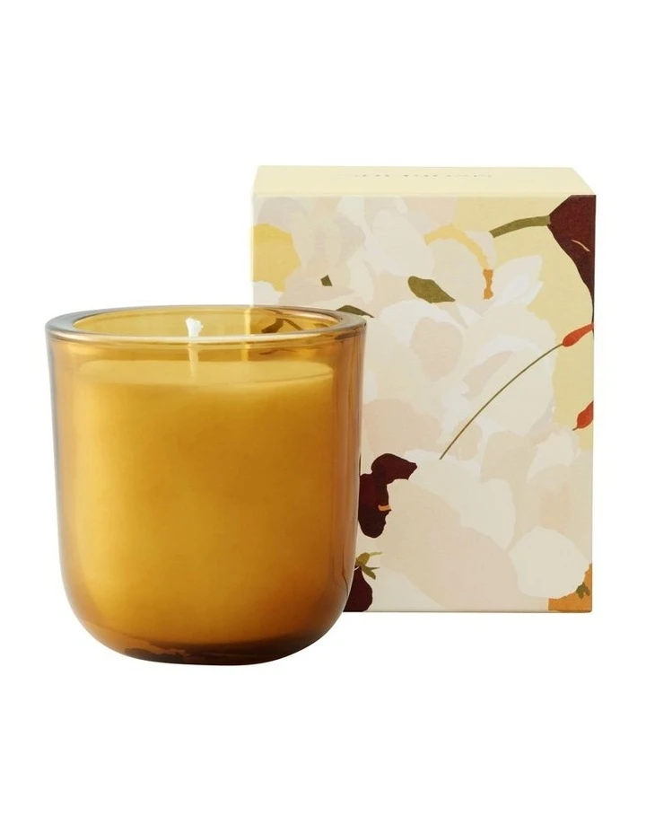 Top 10 π Sheridan 1967 Candle β€οΈ 1 Top 10 π Sheridan 1967 Candle β€οΈ