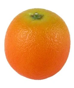 Buy π Rogue Orange 8x8x9cm In Orange β€οΈ