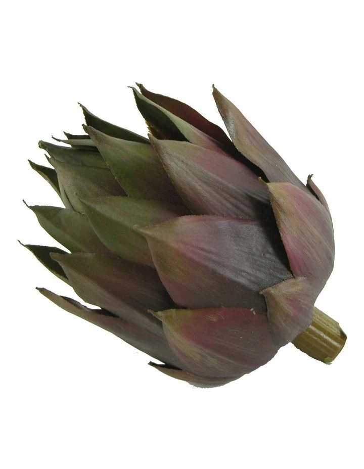 Best Pirce π Rogue Artichoke Head 8x8x13cm In Purple β¨ 1 Best Pirce π Rogue Artichoke Head 8x8x13cm In Purple β¨